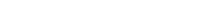 Чайка на Дністрі